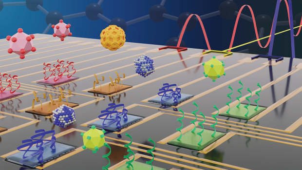 Diagram of chips capable of detecting diseases