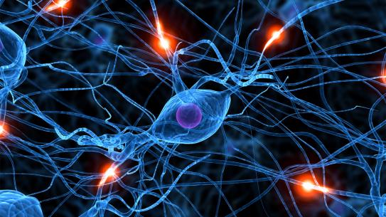 Chemical and Biomolecular Engineering Neurons Chemical and Biomolecular Engineering Neurons