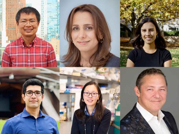 Collage of six faculty headshots